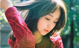 2024年十二生肖运势深度解析：财富、事业、感情全方位揭秘！