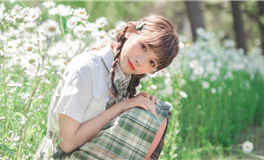 生肖兔2024甲辰年运势