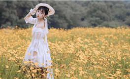 海王星顺行，一路好运到2024年星座点名