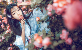 1969年的鸡土命适合去的城市，去哪个城市最好