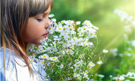 属狗人最好的六个生日吉日，有什么说法