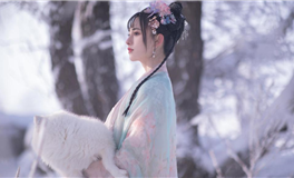 杨清华2024甲辰龙年生肖狗运势