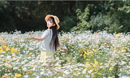 闹闹女巫店2023年12月星座运势