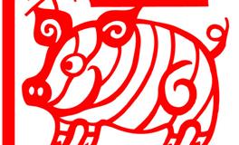 属猪人2024年感情与婚姻，属猪的龙年感情运势如何