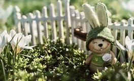 1987年属兔人37岁有什么灾难，如何化解灾难