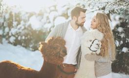 面对爱情，你该再等等还是直接进攻？