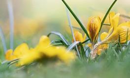 1996年属鼠人28岁有一灾，有什么灾难