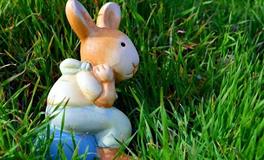 2024年属兔人有重大疾病吗，健康状况如何