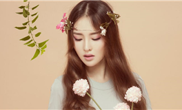 属兔人2024年运势关键字