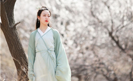 生肖猴2024甲辰年运势