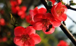 Lunita占星之旅天秤座一周运势(7.25-7.31)