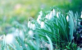 运势君天秤座一周运势(7.11-7.17)