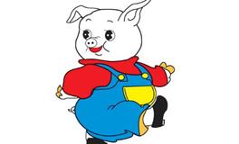 属猪人的灾难年龄是几岁