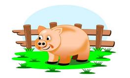 1983年生肖猪的好运年