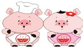 属猪人永远最旺颜色