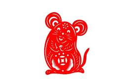 属鼠的哪天出生最好命