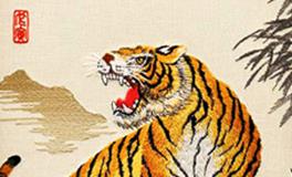 属虎的性格与终身运程