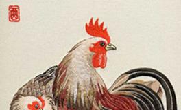 属鸡女人的命好不好