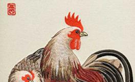 属鸡的女人命运和婚姻怎样