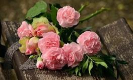 又顺利又有财气的微信名，应该如何取名呢