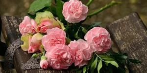 又顺利又有财气的微信名，应该如何取名呢