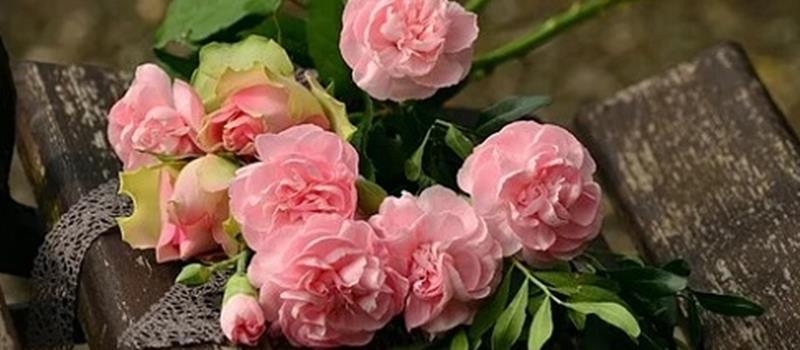 又顺利又有财气的微信名，应该如何取名呢