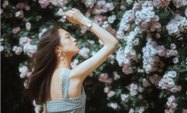 罗伯2024年心灵指引之四