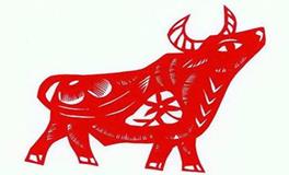 属牛男的性格和脾气