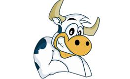 属牛的人不同出生月份的命运