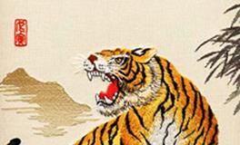 属虎的女人花心吗