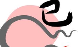 属蛇的女人命运和婚姻怎样