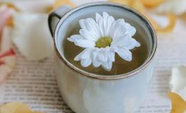 B血型真喜欢VS玩一玩！