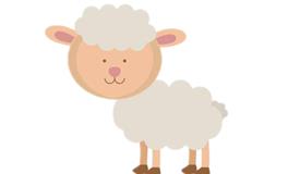 属羊女人命好不好