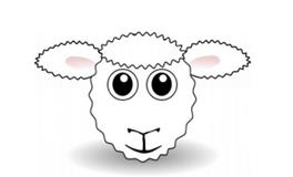 属羊本命年是哪一年