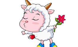 属羊人婚姻最佳配偶