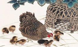 属鸡的名人和明星