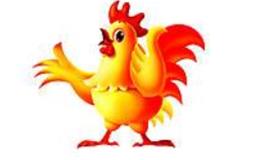 属鸡男和什么属相最配