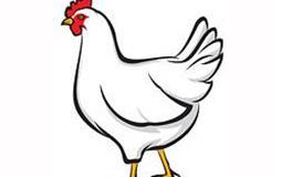 1945年属什么生肖