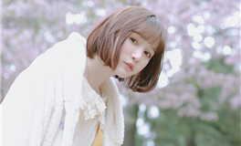 判答2024年2月十二星座运势