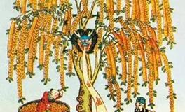 我们普通人家，适不适合摆放聚宝盆