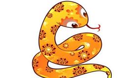 属蛇男人喜欢什么样的女人