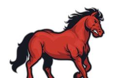 1942年属马的是什么命，1942年出生的马五行属什么