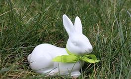 1987年属兔36岁以后有贵人吗，贵人是谁