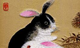 属兔人的爱情观