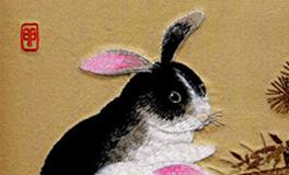 属兔的最佳合作伙伴