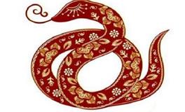 属蛇适合什么颜色