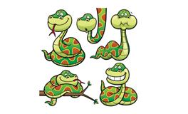 1953年属什么生肖