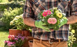 倒追男生成功率最高&最低的星座女生