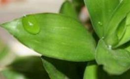 想遇到好姻缘，如何守住，家具布置注意事项