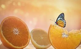 2024年属蛇的是什么命，2024年属蛇人运势表现怎么样